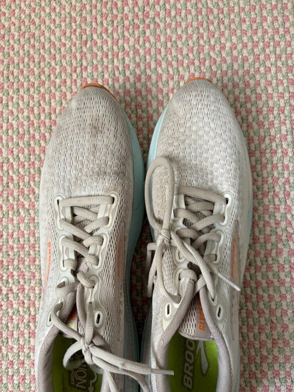 Well Worn Brooks Running Shoes